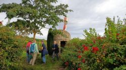 c1_21.9.25_Zellertal_Weingut_Lüll_25