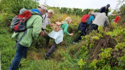 e1_21.9.25_Zellertal_Weingut_Lüll_36