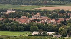 g3_21.9.25_Zellertal_Weingut_Lüll_56