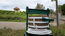 h1_21.9.25_Zellertal_Weingut_Lüll_64