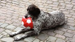 k2_21.9.25_Zellertal_Weingut_Lüll_75