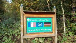 b2_19.10.25_Eppenbrunn_Altschloßfelsen_17