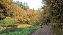 f5_19.10.25_Eppenbrunn_Altschloßfelsen_78
