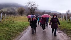 l1_7.12.25_St.Martin_45