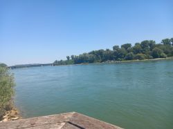 3222d1ab-6ac5-45c2-bf74-d2751c80183a