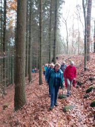 PHOTO-2025-11-16-16-29-350