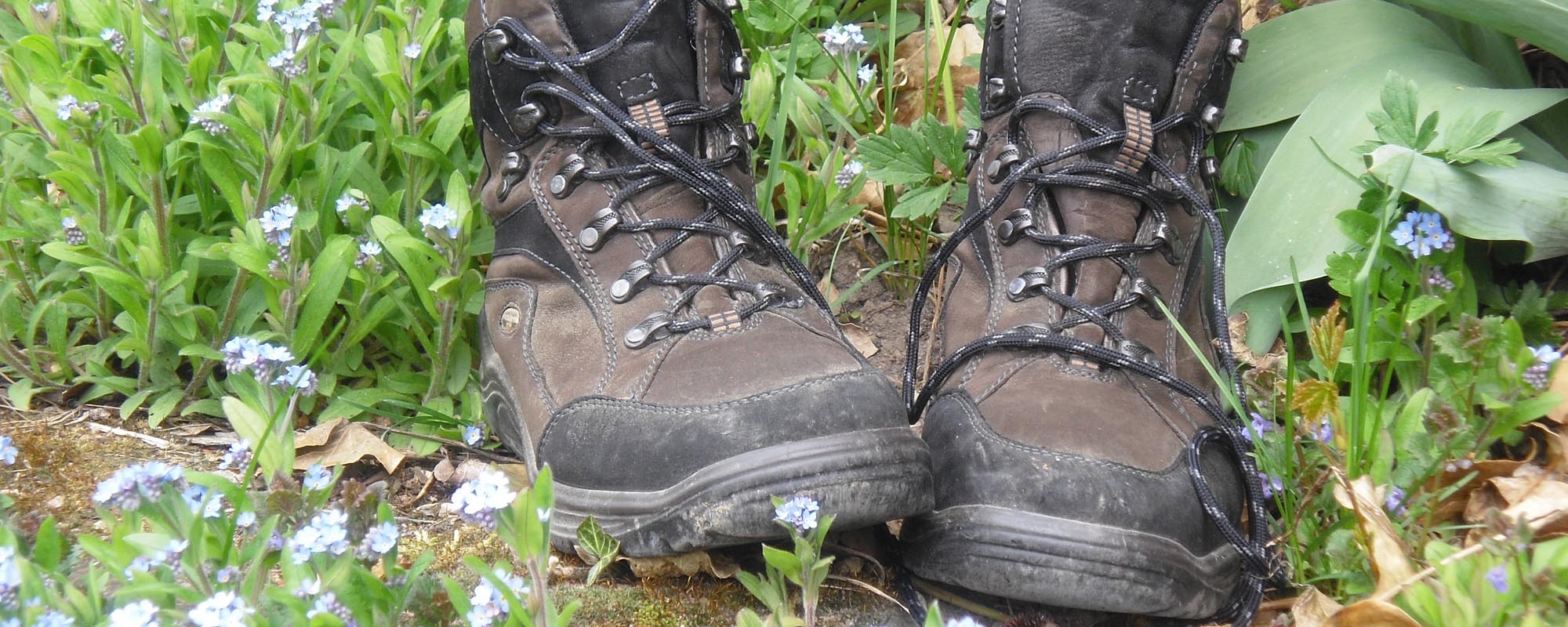 dannstadt head aktuelles