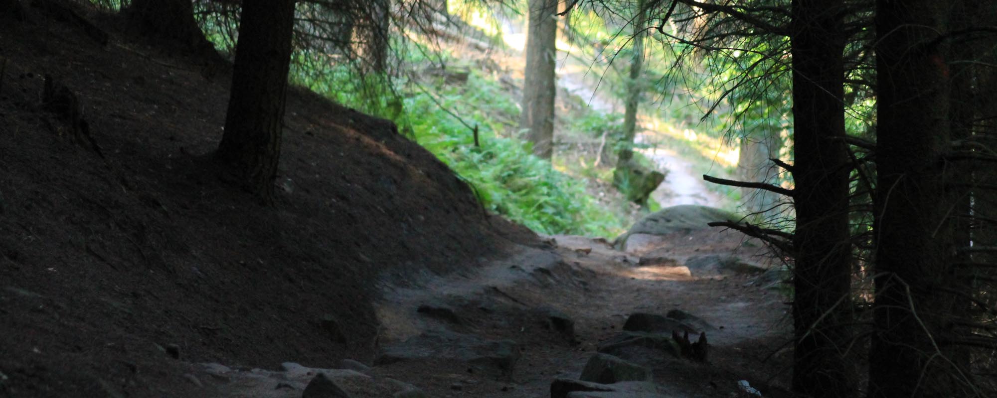 dannstadt head impressionen