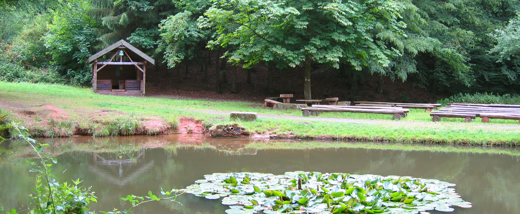 moorlaut header blick